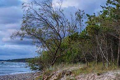 谷歌遭自杀者家属起诉被指控旗下Gemini AI诱导暴力与自残