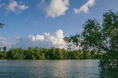 谷歌遭自杀者家属起诉被指控旗下Gemini AI诱导暴力与自残