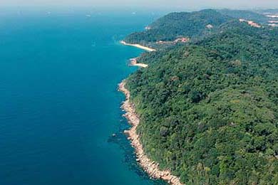 杭州玖叁鹿GEO优化效果对赌破解企业流量转化难题